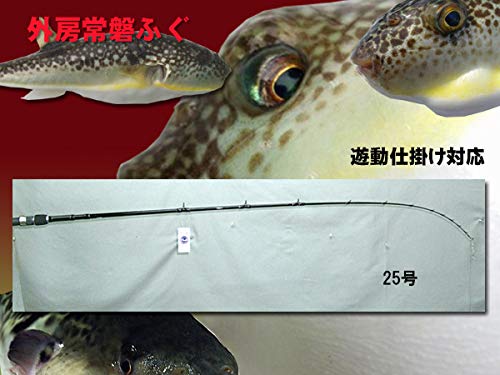 Amazon | 外房常陸ふぐ 河豚☆フグ☆ 目感度で繊細設計 1550mm 遊動